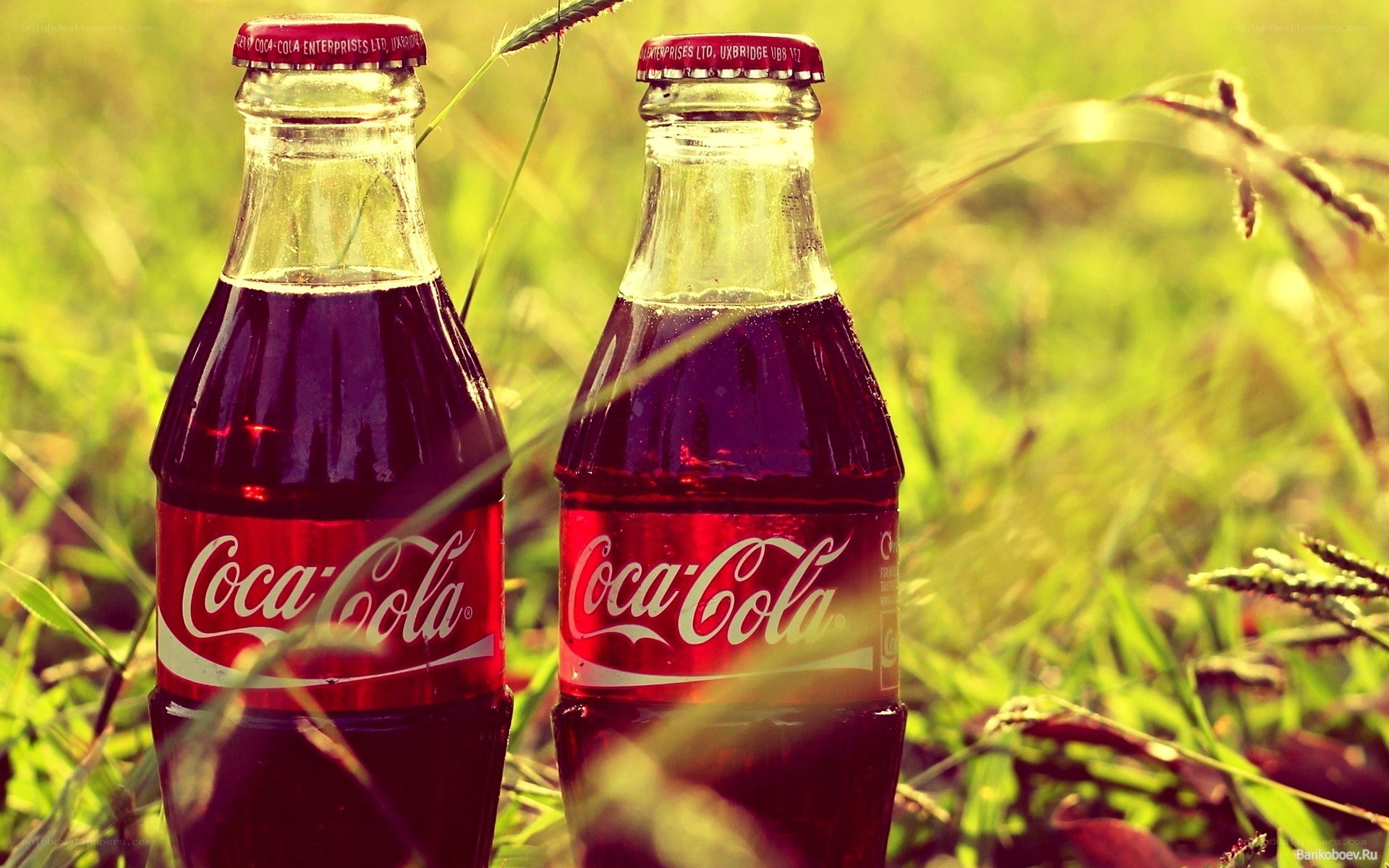 Coca-Cola bottles in grass