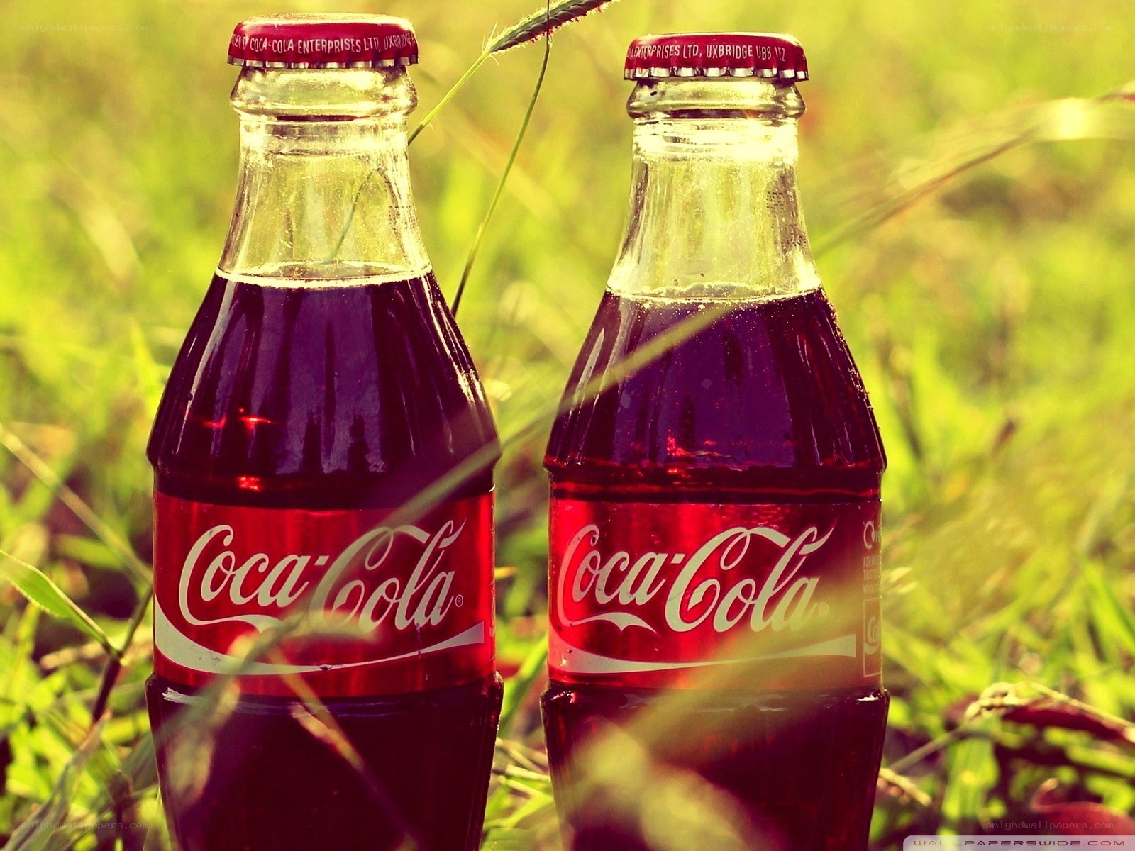 Coca-Cola bottles in grass