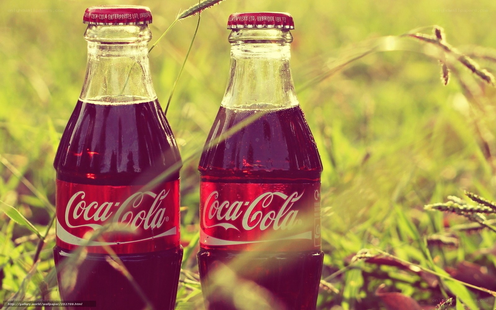 Coca-Cola bottles in grass