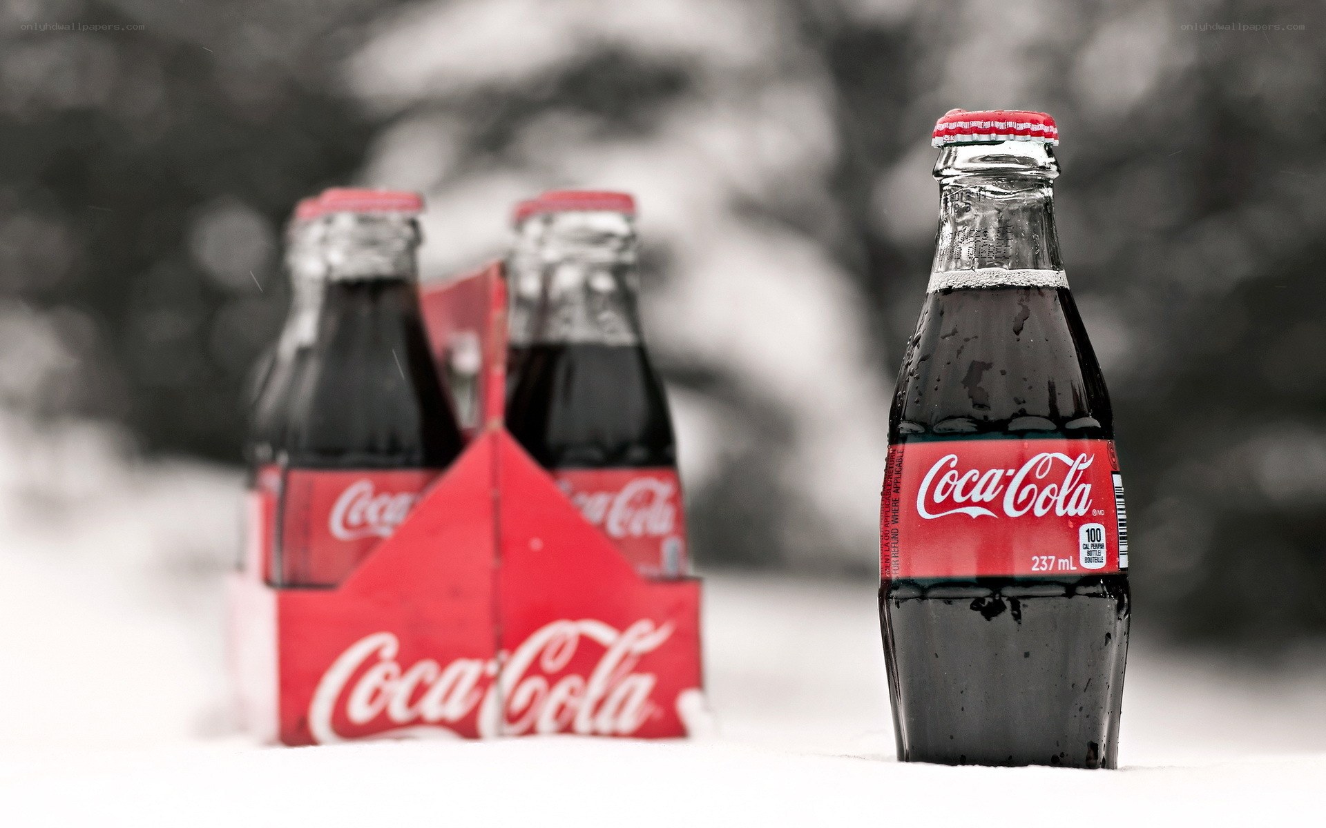 Coca-Cola bottles in snow