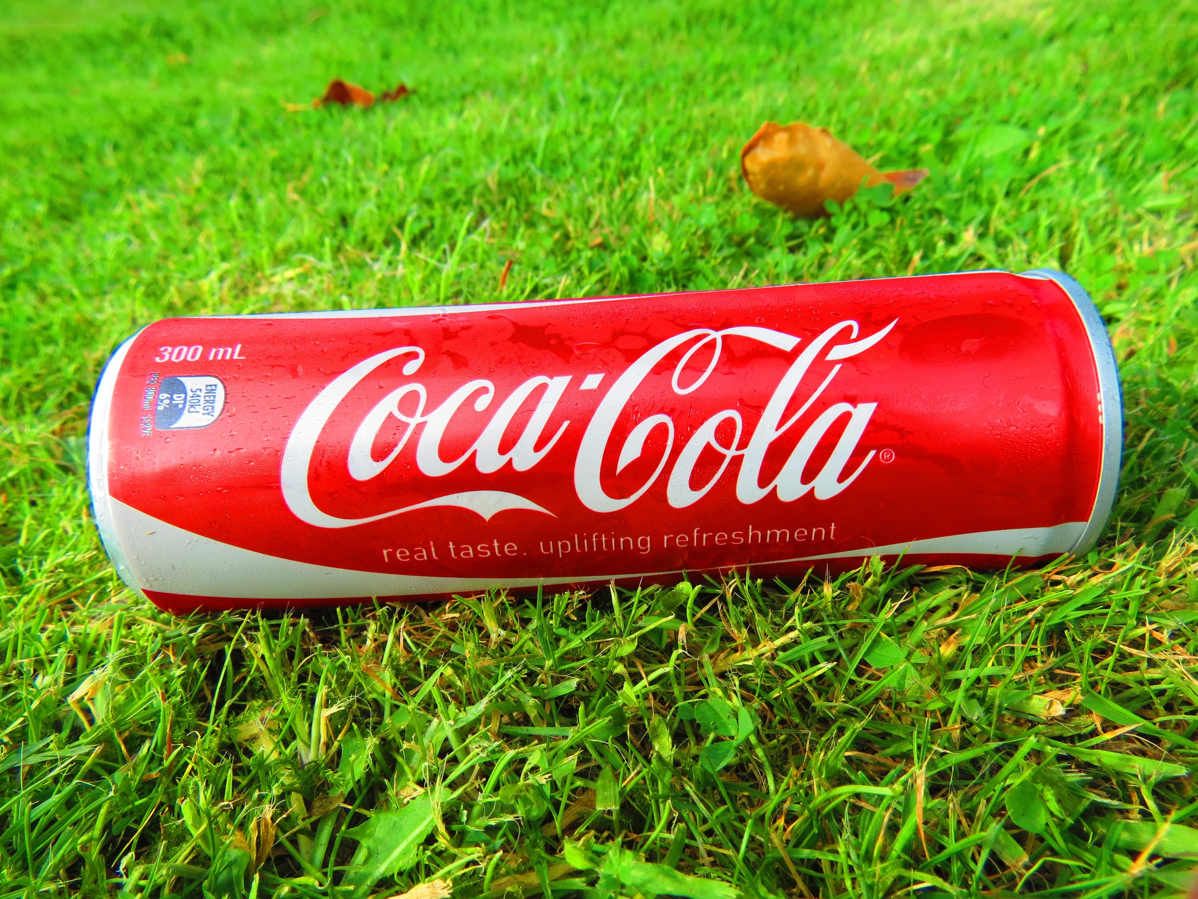 Coca-Cola can on grass