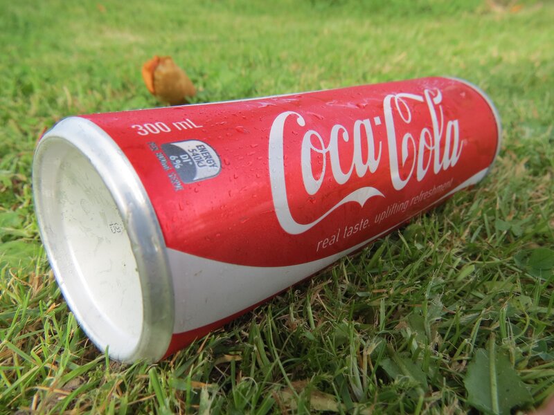 Coca-Cola Can on Grass — Red, Calm