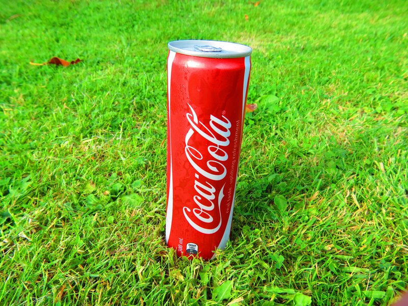 Coca-Cola Can on Grass — Red