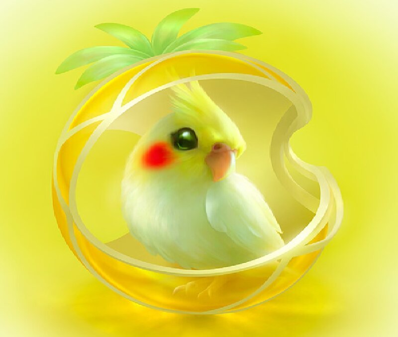Cockatiel in Pineapple