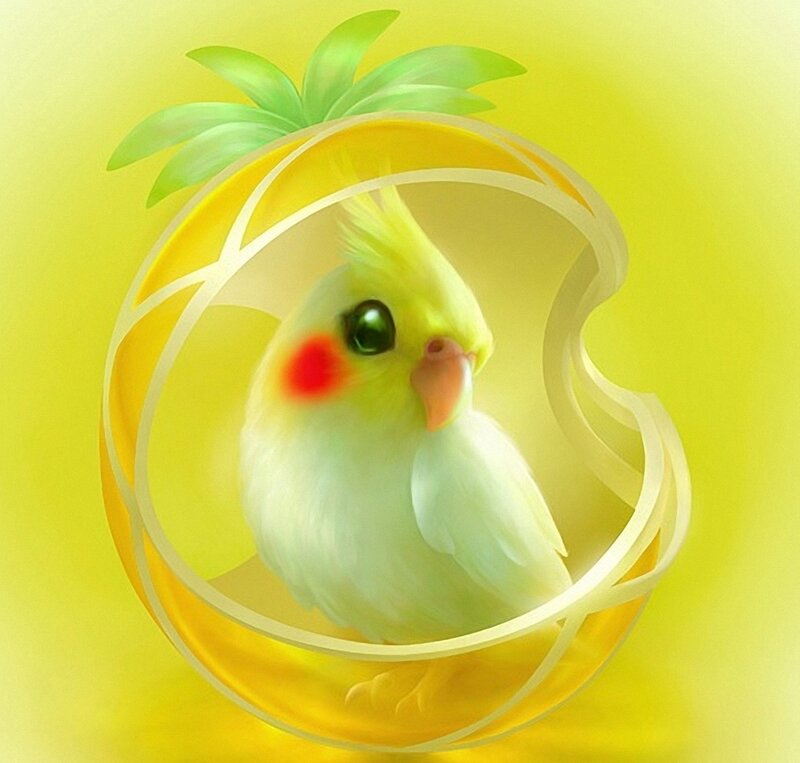 Cockatiel in Pineapple — Yellow