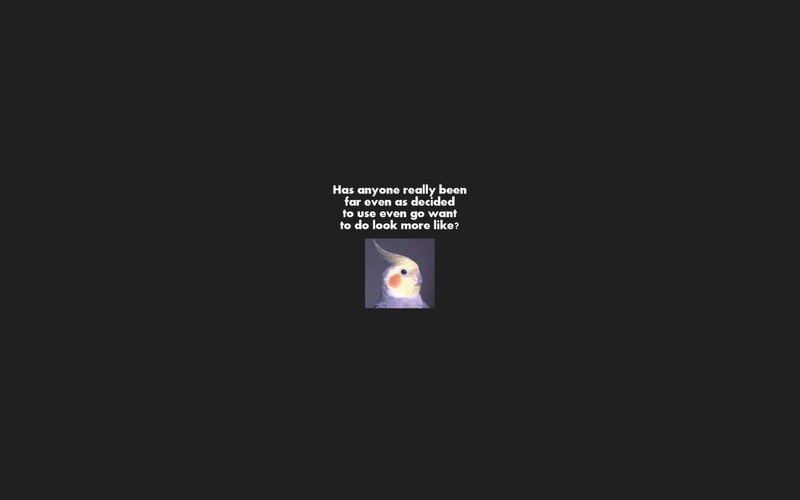 cockatiel meme question