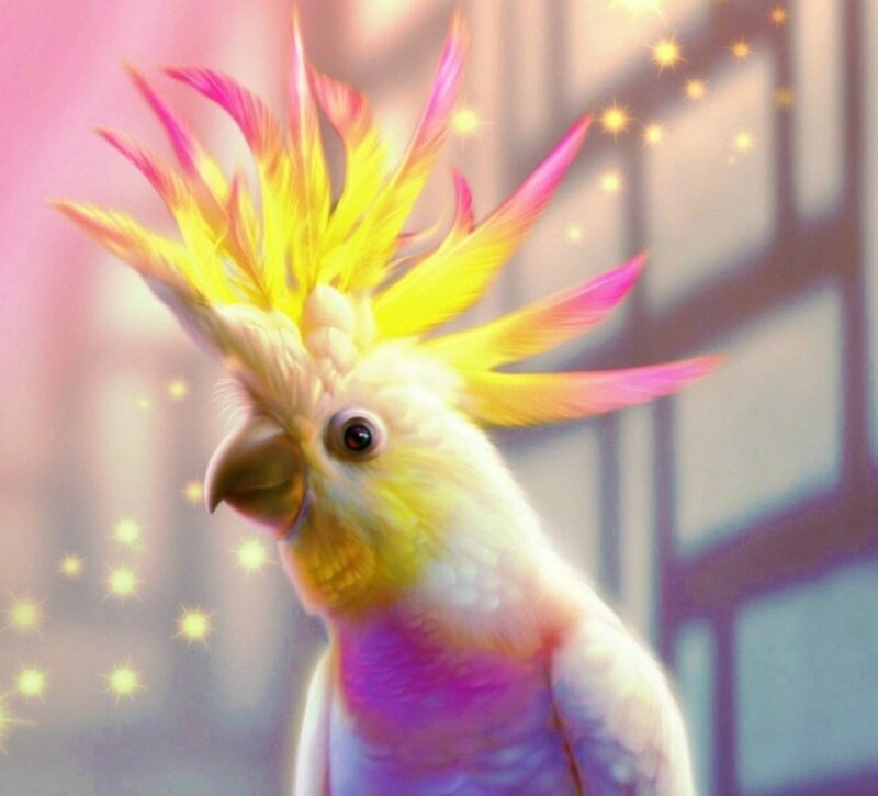 Cockatoo with Colorful Crest