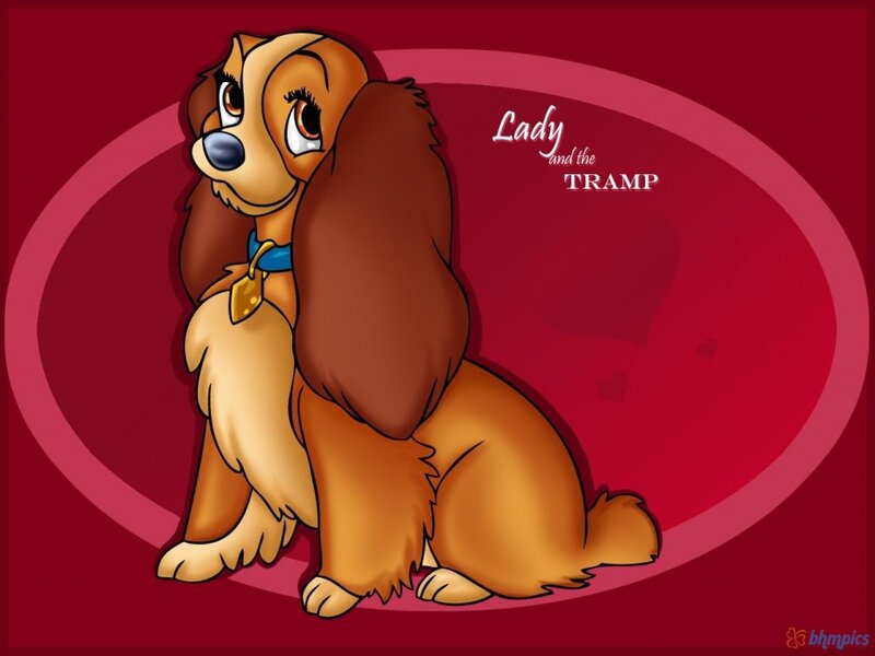 Cocker Spaniel Dog — Red