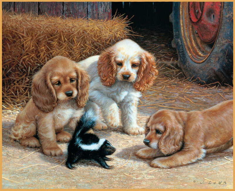 Cocker Spaniel Puppies — Brown