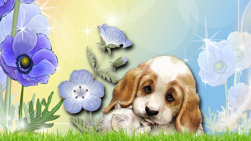 Cocker Spaniel Puppy — Green, Serene