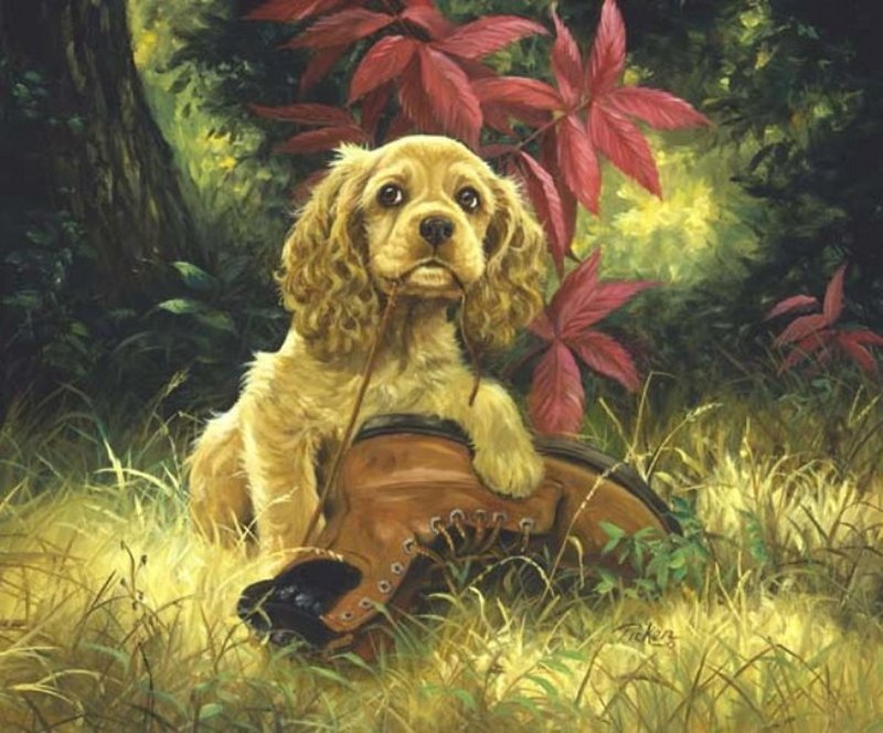 Cocker Spaniel Puppy — Yellow
