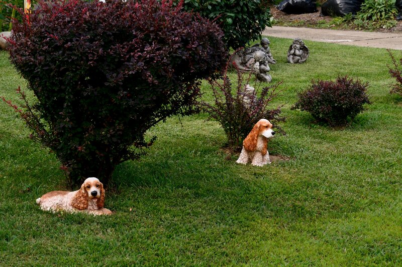 Cocker Spaniel Statues