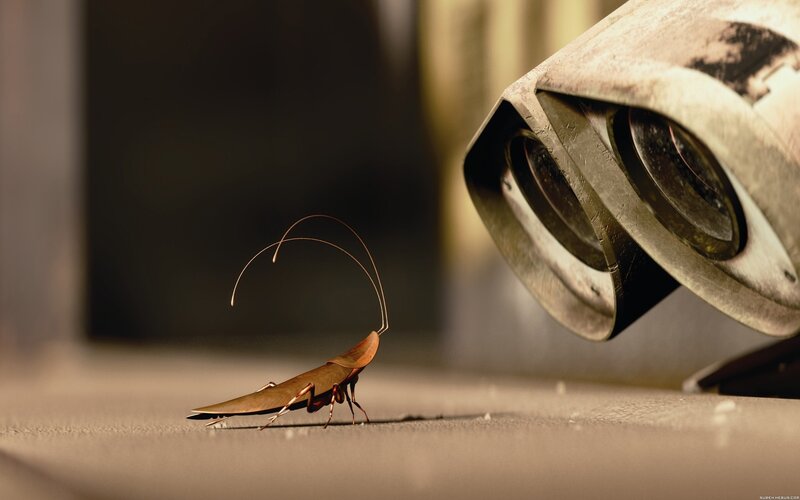 Cockroach and Robot — Brown, Curious, 3d Render, Floor