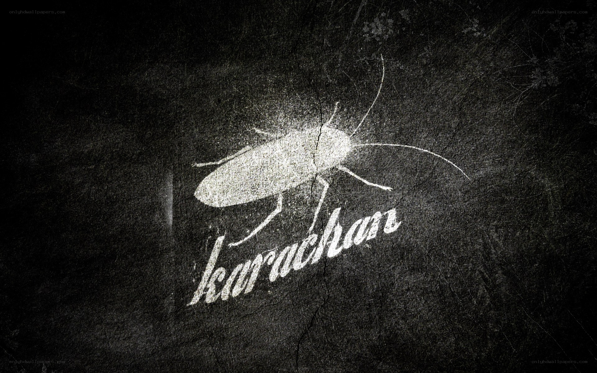 cockroach logo on dark surface