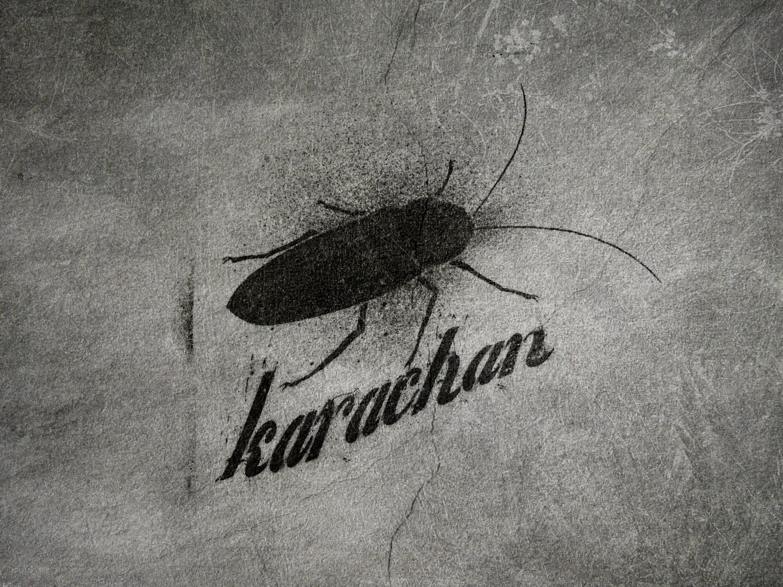 Cockroach logo on textured background