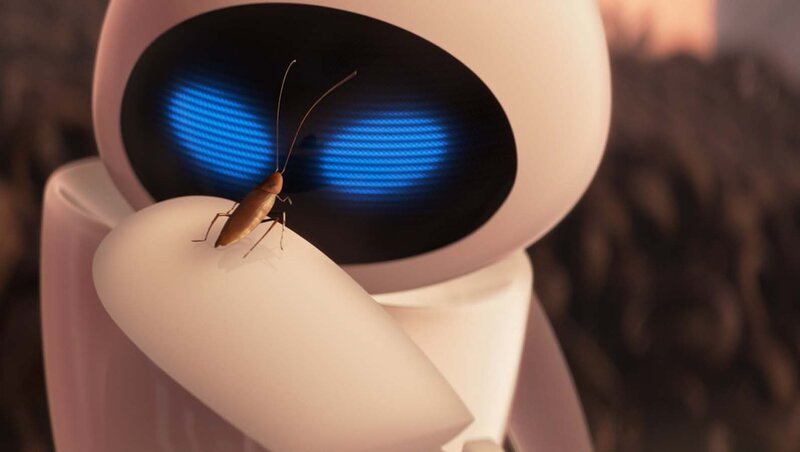Cockroach on Robot Hand
