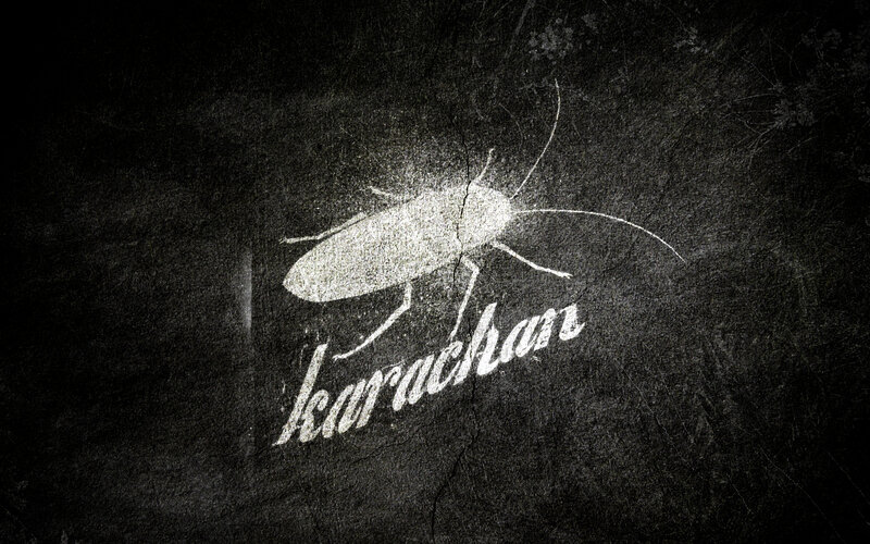 Cockroach Silhouette