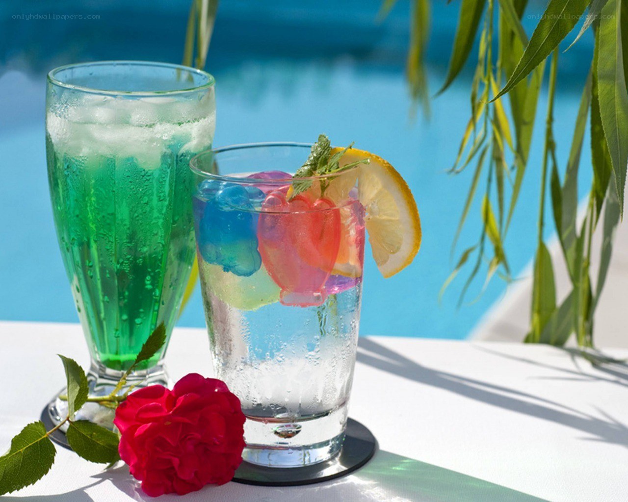 Cocktails by the pool