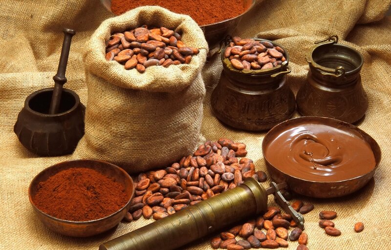 Cocoa Beans and Chocolate — Brown