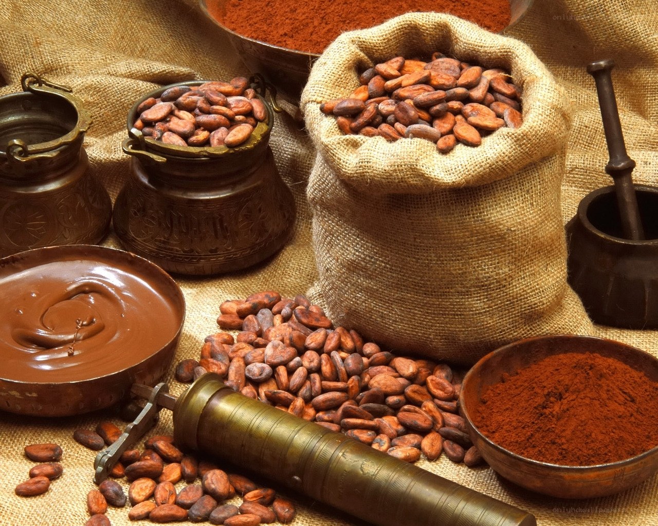 Cocoa beans and chocolate ingredients