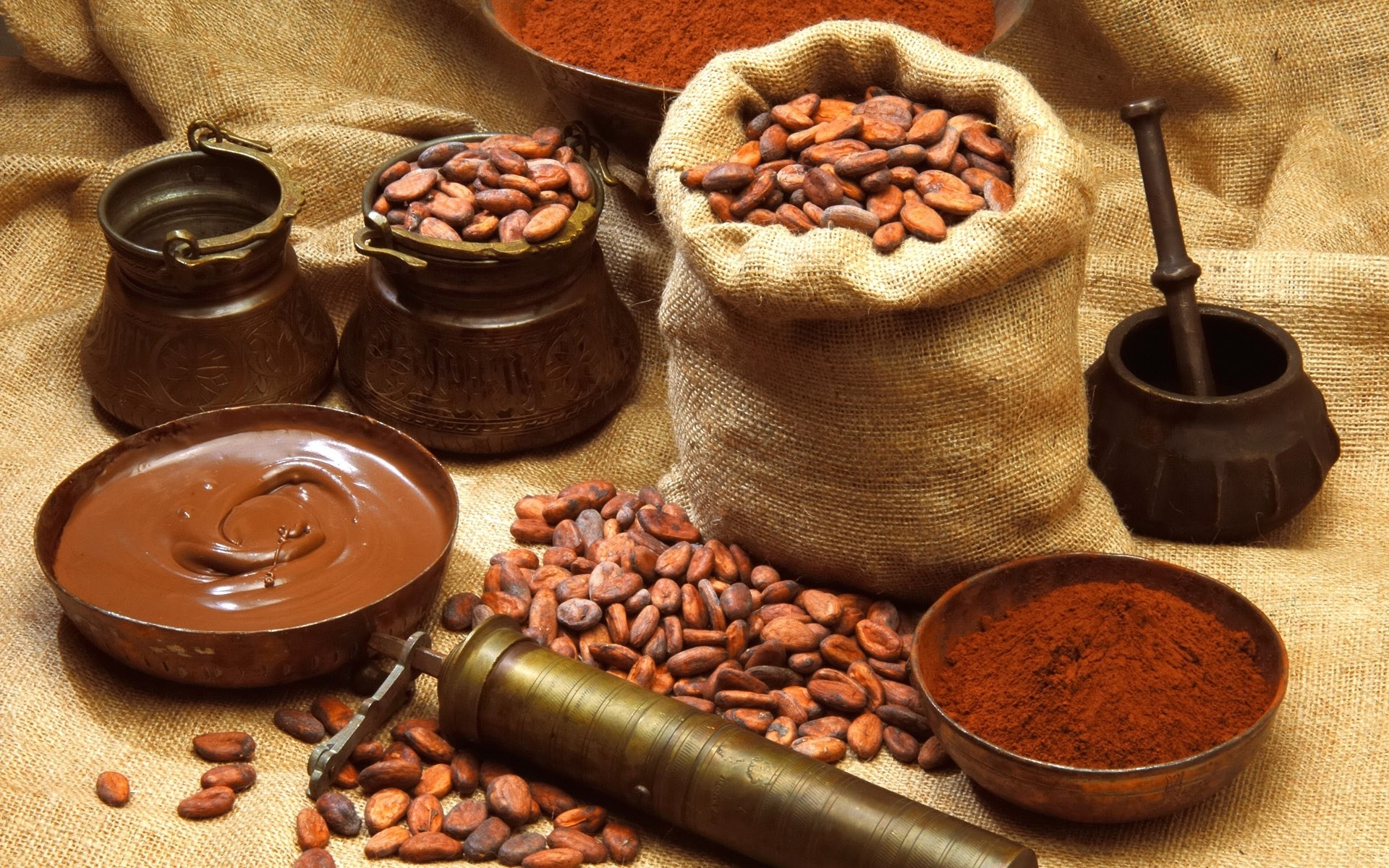 Cocoa beans and chocolate products