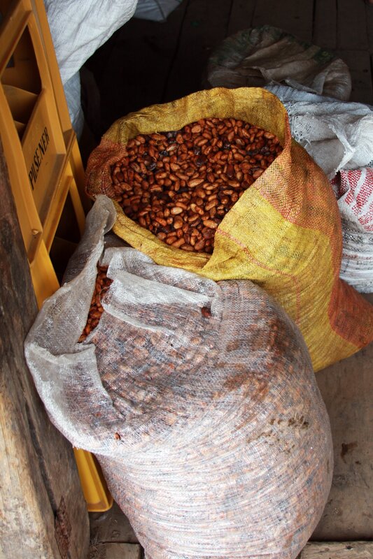 Cocoa Beans in Sacks