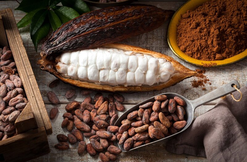 Cocoa Pod and Beans