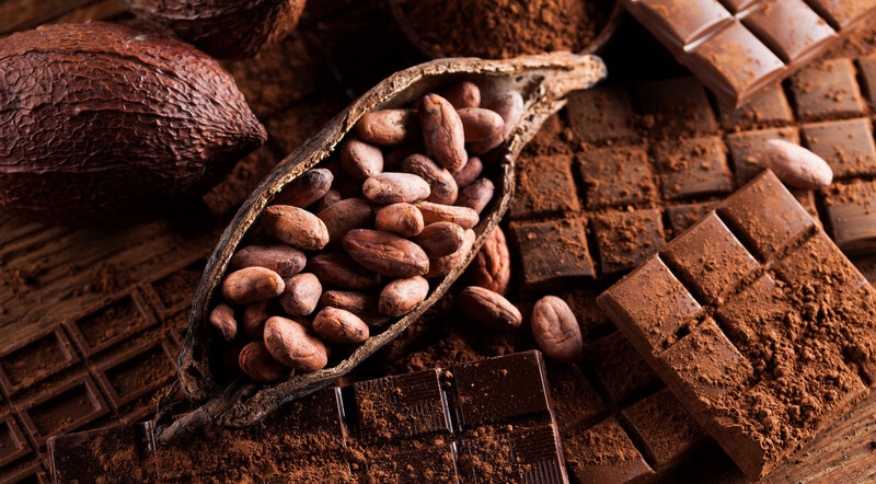 Cocoa Pod with Beans — Brown