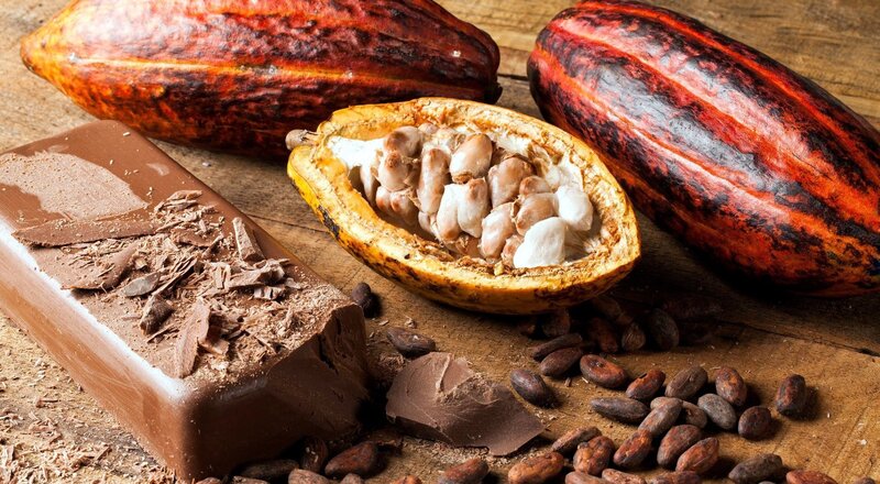 Cocoa Pods and Chocolate Bar