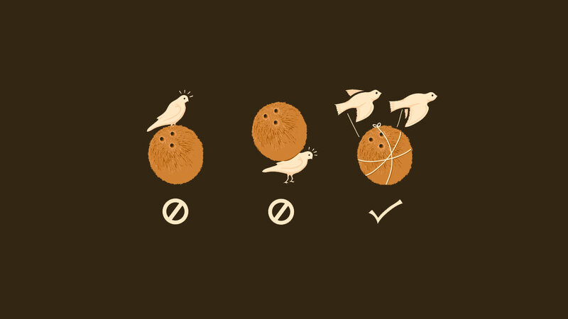 coconut bird illustration