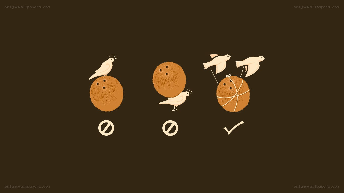 coconut bird illustration