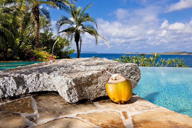 Coconut by Pool