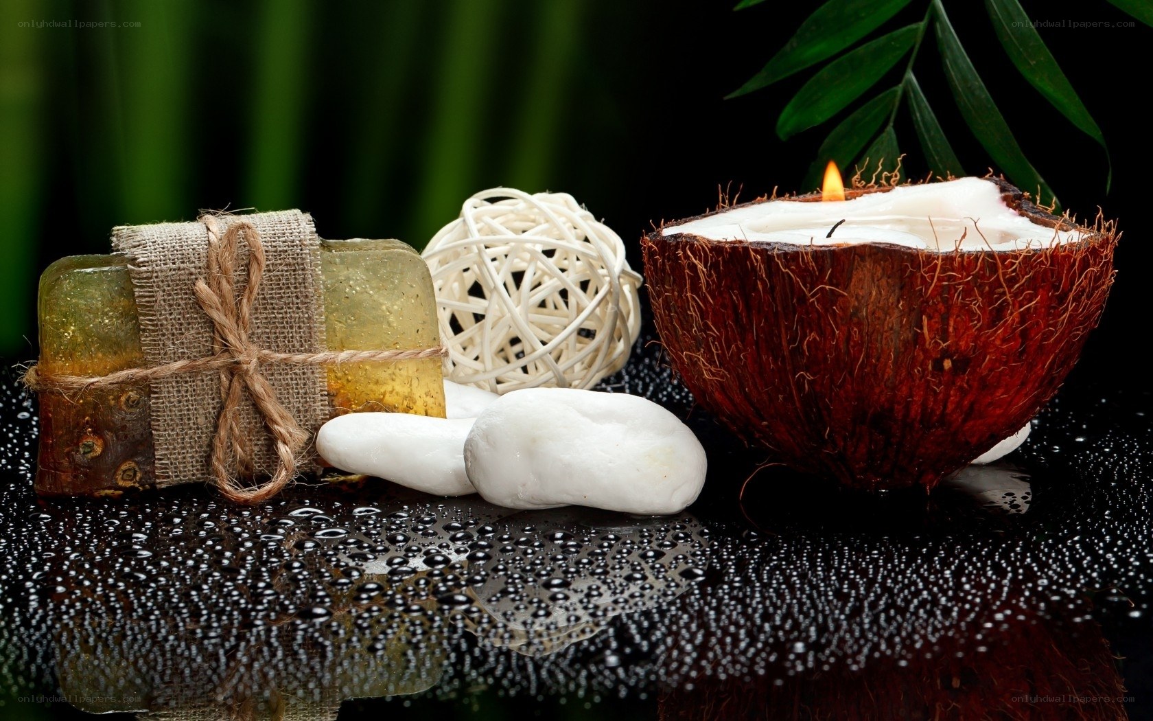 Coconut candle spa arrangement