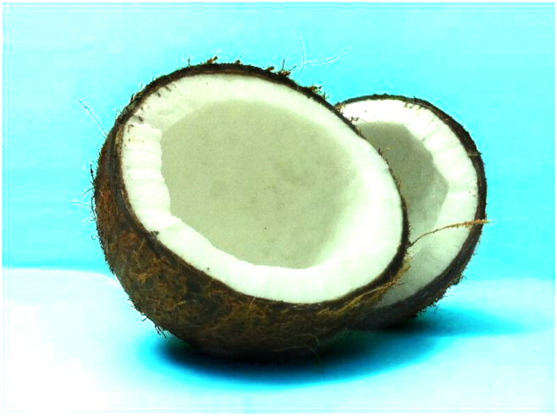 Coconut Cut in Half — Blue