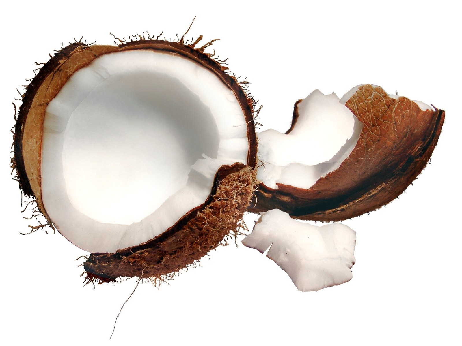 coconut cut in half