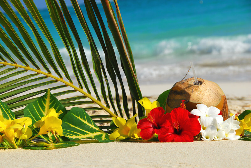 Coconut Drink on Beach — Red