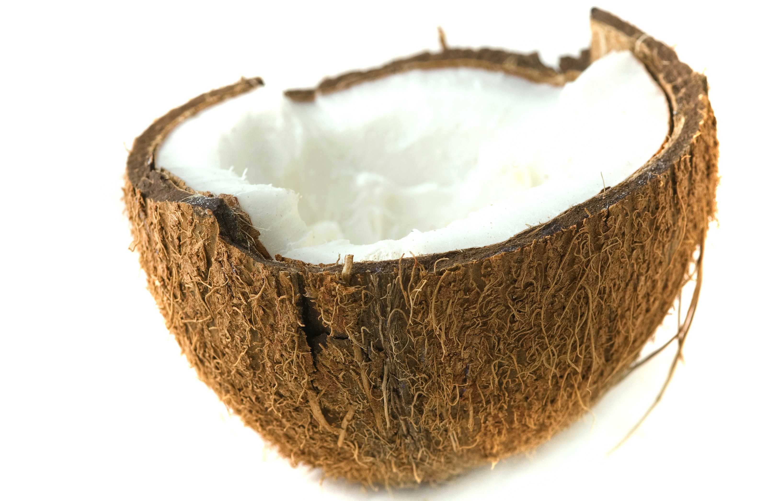 coconut half with white flesh