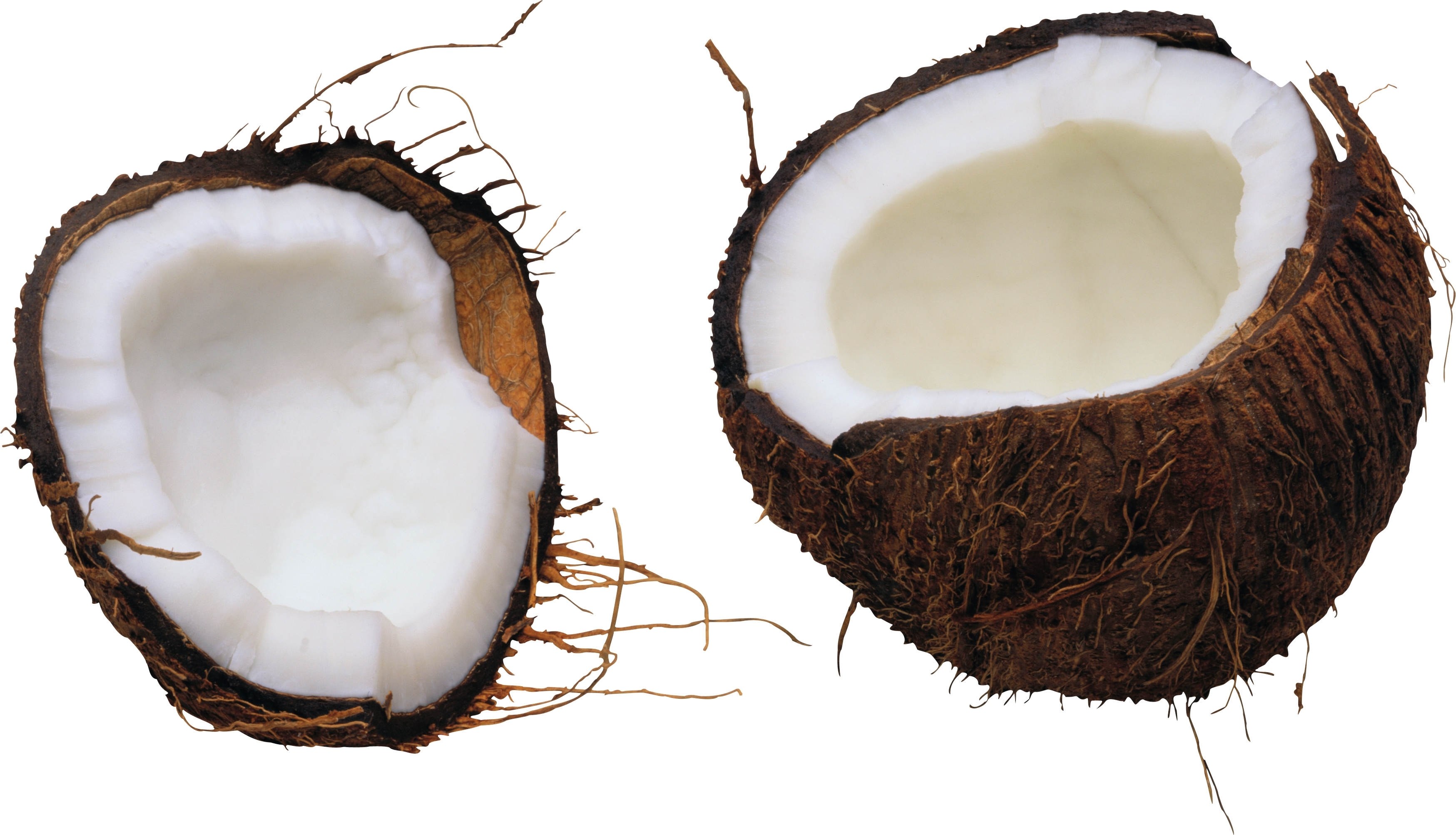 coconut halves on white