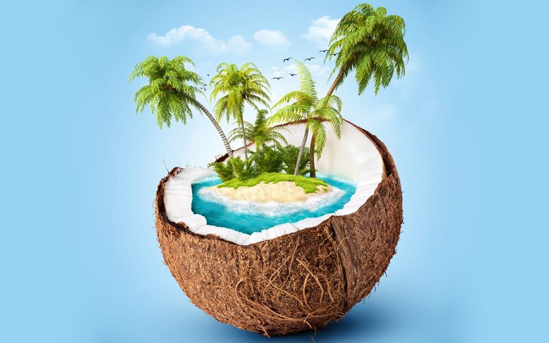 Coconut Island