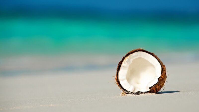 Coconut on Beach — Blue, Serene, Afternoon