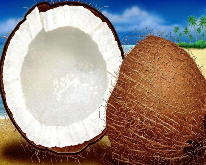 Coconut on Beach — Brown, Tropical