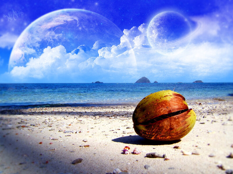 Coconut on Beach
