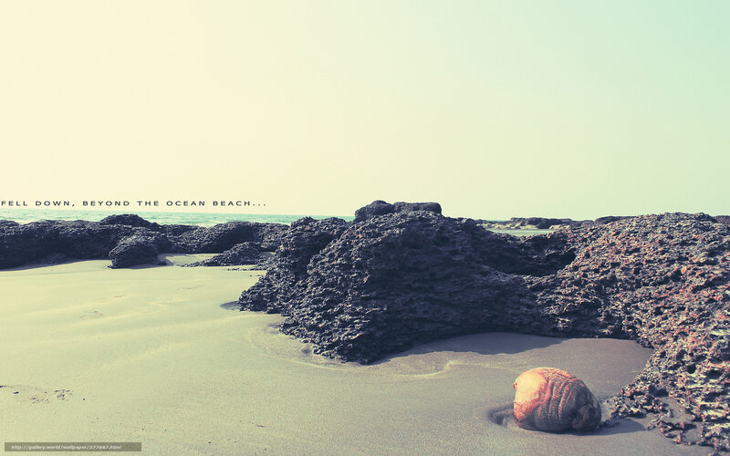 Coconut on Sandy Beach — Beige