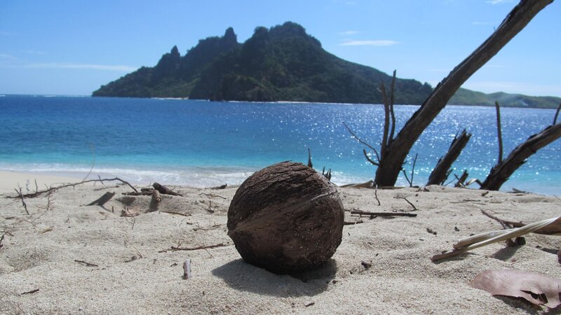 Coconut on Sandy Beach — Blue, Serene