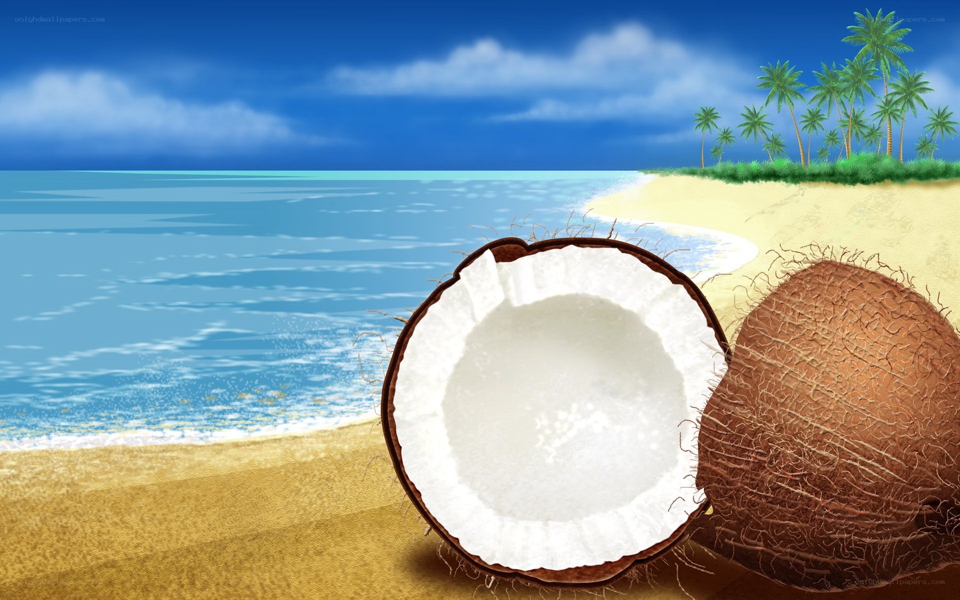 Coconut on tropical beach
