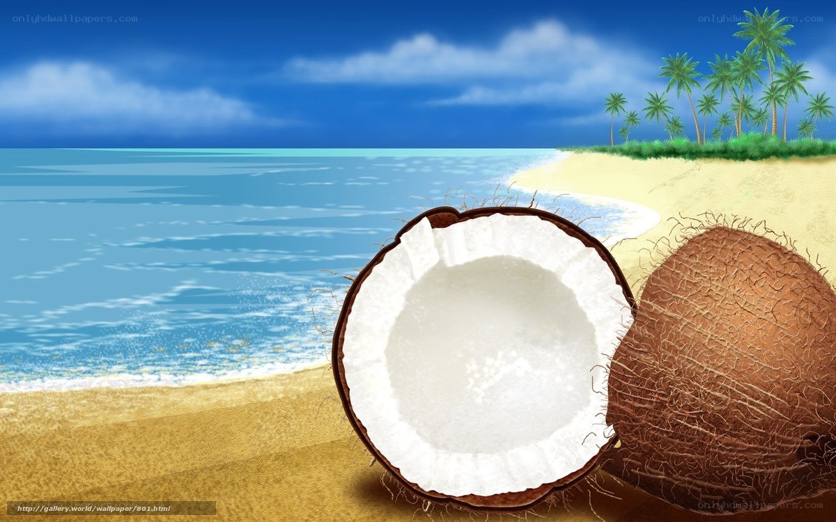 Coconut on tropical beach