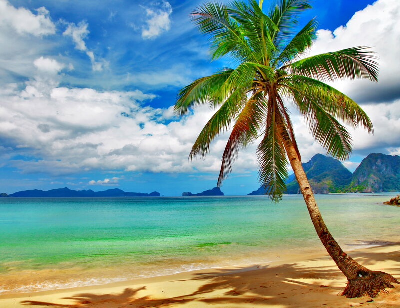 Coconut Palm on Beach — Blue, Serene, Afternoon, Photograph, Ocean, Mountains, Clouds