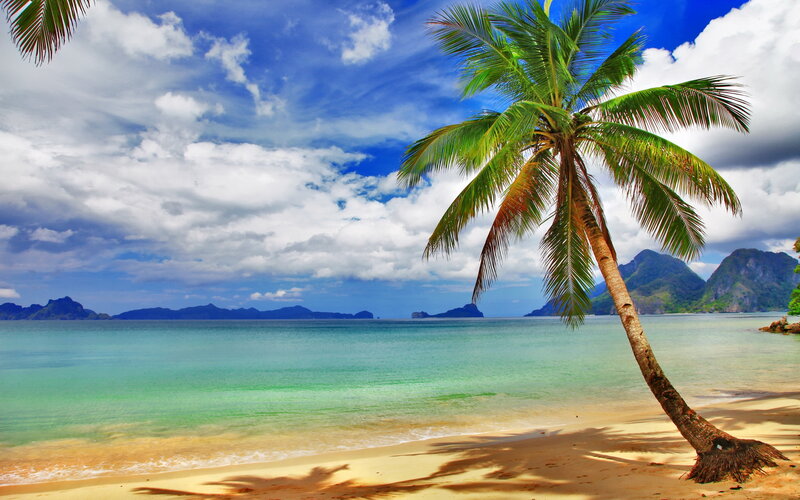 Coconut Palm on Beach — Blue, Serene, Afternoon, Photograph, Ocean, Mountains, Sky