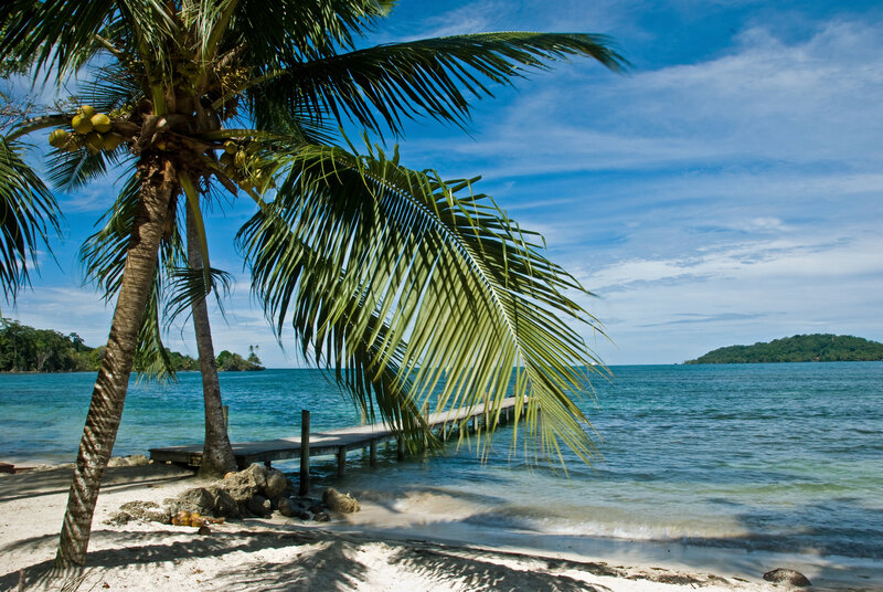 Coconut Palm on Beach — Blue, Serene, Afternoon, Photograph, Palm Tree, Dock