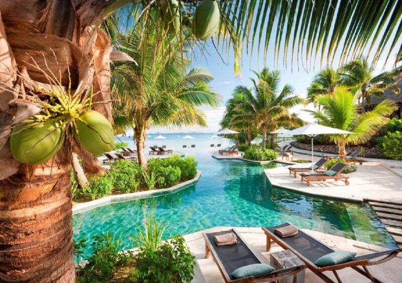 Coconut Palm Tree — Blue, Serene, Afternoon, Photograph, Pool